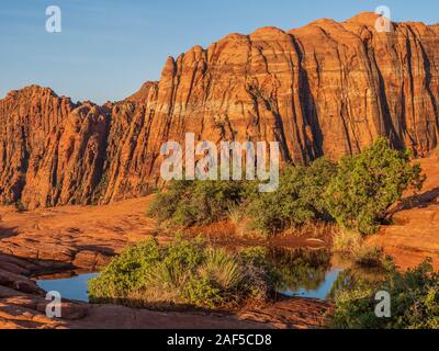 De poule rempli d'eau, Dunes pétrifiées, sunrise, Snow Canyon State Park, Saint George, Utah. Banque D'Images