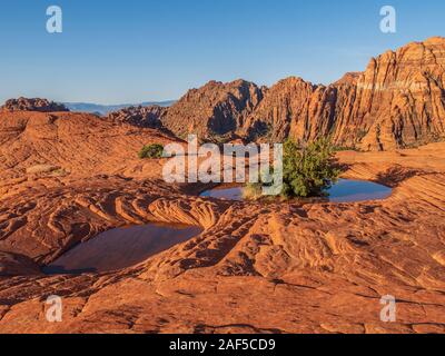 De poule rempli d'eau, Dunes pétrifiées, sunrise, Snow Canyon State Park, Saint George, Utah. Banque D'Images