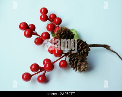 Beau gros plan d'une branche d'aubépine décor aux fruits rouges et trois cônes de pin sur fond blanc Banque D'Images