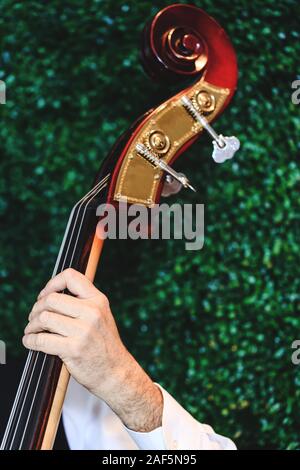 Le violoncelliste de l'orchestre jouant des mains de la musique. Violoncelliste en mettant l'accent sur le côté, Close up photo. Musicien joue de la basse au violoncelle. La scène de l'orchestre Banque D'Images