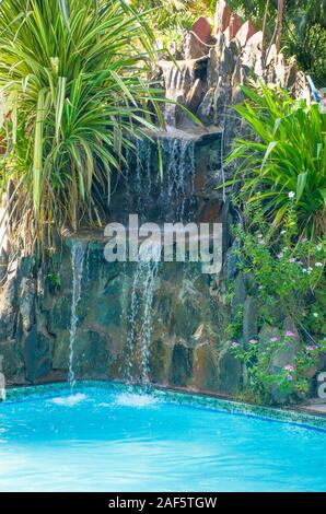 Petit paysage avec cascade plantes dans la piscine Banque D'Images