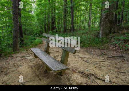 Un banc sur une randonnée dans le parc national de Cuyahoga Valley, Ohio Banque D'Images