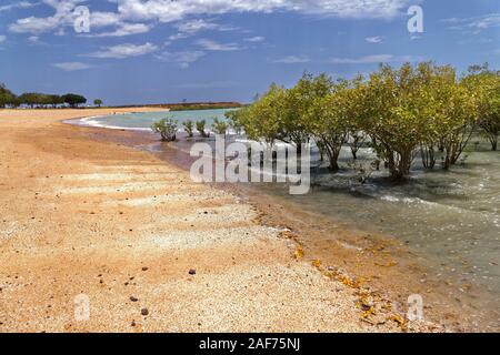 Plage de sable rouge avec arbres de mangrove, Broome, West Kimberley, Western Australia | conditions dans le monde entier Banque D'Images