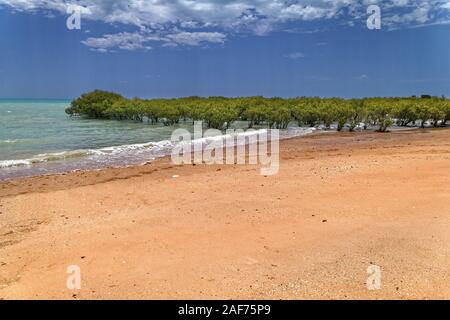 Plage de sable rouge avec arbres de mangrove, Broome, West Kimberley, Western Australia | conditions dans le monde entier Banque D'Images