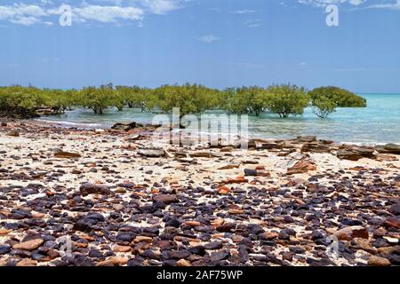 Les palétuviers, Broome, West Kimberley, Western Australia | conditions dans le monde entier Banque D'Images