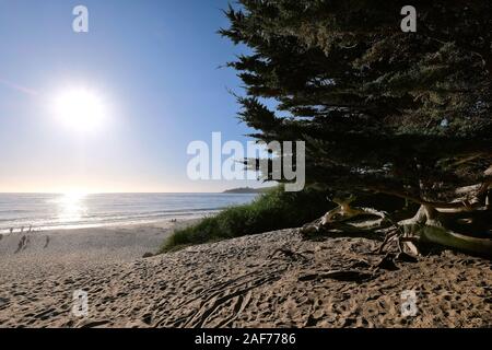 Carmel Beach, Plage de Carmel-by-the-Sea, Californie, États-Unis Banque D'Images