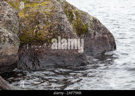 Pierres de granit humide massive avec moss, l'eau s'est retrouvée dans le golfe de Finlande, Russie Banque D'Images