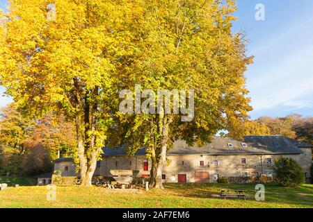 Ile de Vassivière, Lac de Vassivière, Creuse, France, Nouvelle-Aquitaine maintenant un lieu d'art avec la sculpture garden, l'extérieur de l'atelier à l'automne Banque D'Images