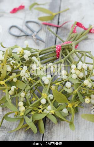 Le Viscum album. La création d'un bouquet de Noël avec des baies de gui en décembre. UK Banque D'Images