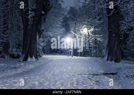 Scène d'hiver dans un parc couvert de neige dans la nuit avec lampadaires allumés. Jours fériés, de la saison, l'urbanisme et de concepts météorologiques Banque D'Images