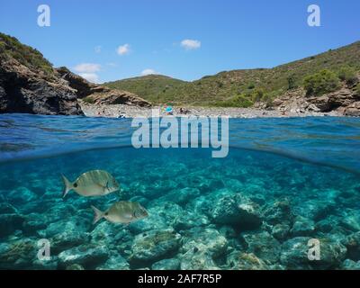 Espagne Costa Brava, rocky Cove, sur la côte méditerranéenne avec des poissons et des roches sous l'eau, vue fractionnée sur et sous la surface de la mer, la Catalogne, le Cap de Creus Banque D'Images