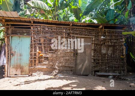 La Tanzanie. Le MTO wa Mbu. Farmer's House en plein milieu d'une bananeraie. Banque D'Images