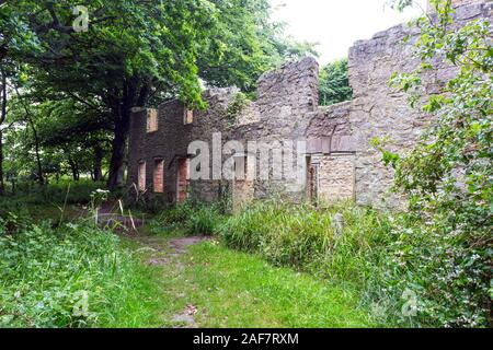 L'une des maisons en ruines, sans toit maintenant lentement et en cours de récupération par la nature dans le village abandonné de Tyneham, Dorset, England, UK Banque D'Images