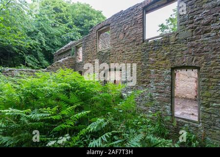 L'une des maisons en ruines, sans toit maintenant lentement et en cours de récupération par la nature dans le village abandonné de Tyneham, Dorset, England, UK Banque D'Images