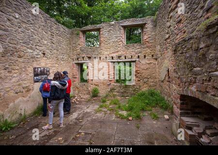 L'une des maisons en ruines, sans toit maintenant lentement et en cours de récupération par la nature dans le village abandonné de Tyneham, Dorset, England, UK Banque D'Images