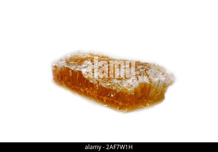 Sauvages naturelles honeycomb slice isolé sur fond blanc Banque D'Images