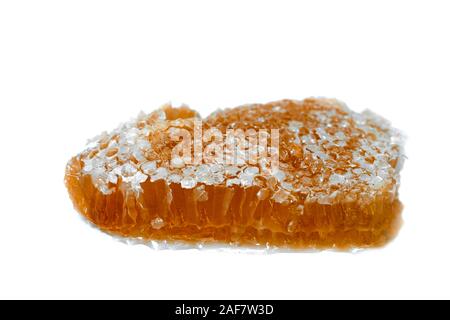 Sauvages naturelles honeycomb slice isolé sur fond blanc Banque D'Images