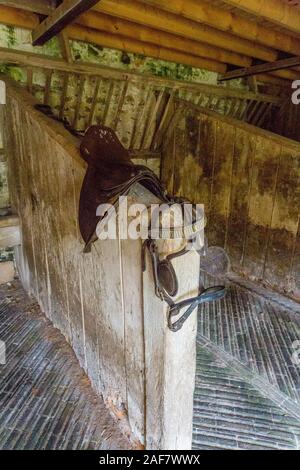 Une selle en cuir vintage et un mors dans les anciennes écuries de la village abandonné de Tyneham, Dorset, England, UK Banque D'Images