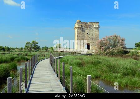 La Tour Carbonnière médiévale (c13e) ou la tour de pierre et de la promenade à travers les marais salants d'Aigues-Mortes Camargue Provence France Banque D'Images