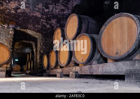 Géant en bois de chêne vin empilées en lignes. Le vieillissement, la fermentation, la stocker dans la vieille cave à vin. Sommelier Concept voyage, excursion à Bourgogne Winery, c Banque D'Images