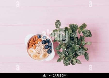 Vue supérieure, petit-déjeuner sain avoine avec les écrous d'amande, les bleuets et bananes près de plante verte sur fond rose. Banque D'Images