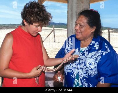 Une femelle'admire un collier artisan de minuscules coquillages fait par un natif Hawaiian woman sur Niihau, une île isolée de l'océan Pacifique à Hawaii, USA. Niihau authentiques bijoux de coquillages est tellement unique qu'à l'aide de l'état loi interdit de vendre du nom à moins que 100  % des coquilles sont recueillies sur cette petite île. Coût de Niihau shell bijoux - colliers (leis), bracelets, boucles d'- varie de 100 $ à 30 000 $. Niihau est connu comme l'île interdite parce qu'Niihauans né sur l'île sont autorisés à y vivre et les touristes sont limitées à de brèves visites en hélicoptère. Banque D'Images