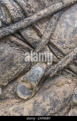 Macro close-up shot of muddy lacets et oeillets sur une paire de vieux bottes de marche. Métaphore camping, randonnée / trekking, vie en plein air. Banque D'Images