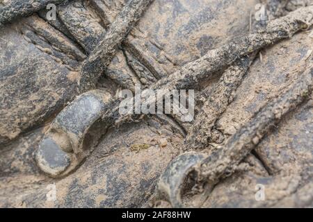 Macro close-up shot of muddy lacets et oeillets sur une paire de vieux bottes de marche. Métaphore camping, randonnée / trekking, vie en plein air. Banque D'Images