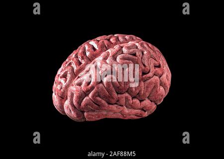 Avec le sang du cerveau isolé sur fond noir avec le chemin de détourage Banque D'Images