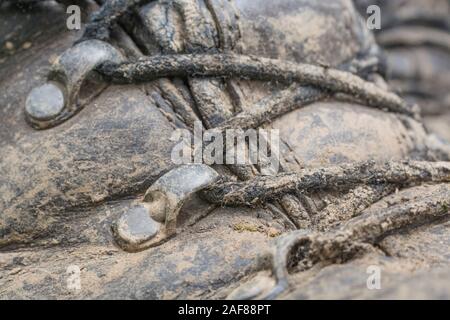 Macro close-up shot of muddy lacets et oeillets sur une paire de vieux bottes de marche. Métaphore camping, randonnée / trekking, vie en plein air. Banque D'Images