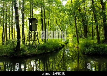 Un aveugle à une jonction avec la rivière arbres se reflétant dans l'eau, vu dans la nature sereine de la forêt de Spreewald au sud de Berlin, Brandebourg, Banque D'Images