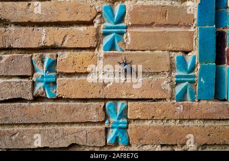 Détails de carreaux bleus dans la nécropole Shah-i-Zinda, Samarqand, l'Ouzbékistan, en Asie centrale Banque D'Images