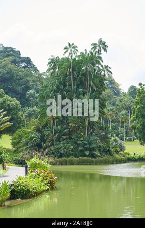 Le Lac Symphonie au Singapore Botanic Gardens Situé dans Tanglin, Singapour Banque D'Images