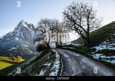 Depuis 2009, les Dolomites et donc l'Alpe di Siusi Sciliar et font partie de l'UNESCO du patrimoine mondial naturel. Banque D'Images