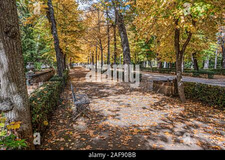 Route forestière avec un banc dans les parcs de la ville d'Aranjuez un jour d'automne. Communauté de Madrid . Espagne Banque D'Images