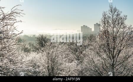 Southside Glasgow bâtiments sur un matin d'hiver glacial et brumeux dans le Queens Park, Glasgow, Ecosse Banque D'Images