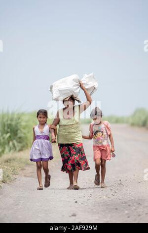 Une pauvre grand-mère âgée et une travailleuse rurale transportant un sac sur sa tête à côté d'une plantation de canne à sucre dans le Salvador rural Banque D'Images