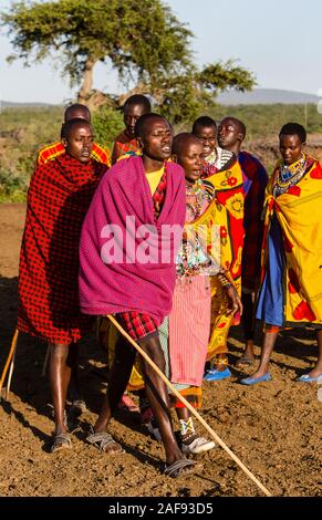 La Tanzanie. Village massaï de Ololosokwan, Nord de Serengeti. Les villageois l'exécution de Danse de bienvenue. Banque D'Images