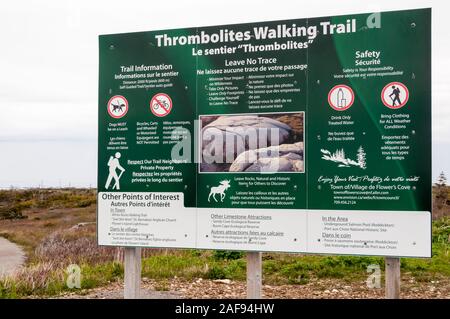 Un panneau d'interprétation pour le sentier pédestre Thrombolites à Flowers Cove (Terre-Neuve). Banque D'Images