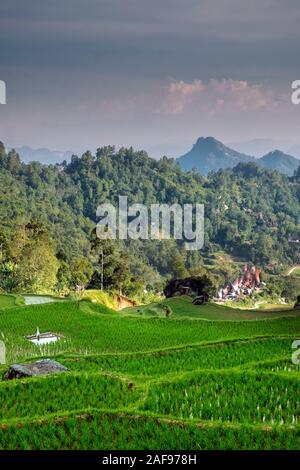 Vue sur une ferme de riz et les maisons traditionnelles de Tongkonan à Tana Toraja, dans le centre de Sulawesi Banque D'Images