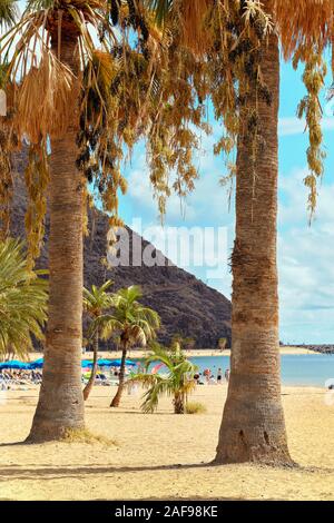 Vous pourrez bronzer sur des palmiers de plage de sable pittoresques bordés de Playa de Las Teresitas, admirer la vue sur le temps chaud et les eaux de l'océan Atlantique, Tenerife Banque D'Images