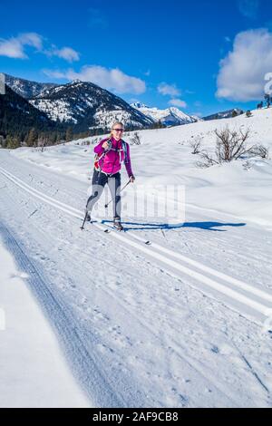 Une femme le ski de fond sur les sentiers près de Sun Mountain Lodge dans la vallée de Methow, État de Washington, USA. Banque D'Images