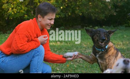 Une jeune femme joue avec son chien dans un parc. Donne chien paw à mistress Banque D'Images