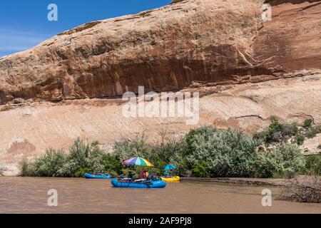 Une famille voyage de rafting dans le canyon de la Rivière San Juan, dans le sud-est de l'Utah, USA. Banque D'Images