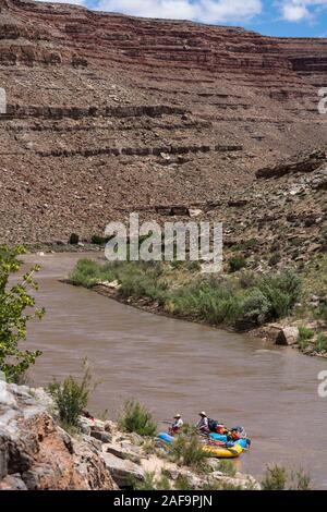 Une famille voyage de rafting dans le canyon de la Rivière San Juan, dans le sud-est de l'Utah, USA. Banque D'Images