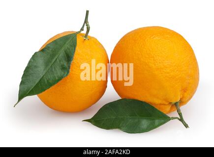 Deux oranges isolé sur fond blanc avec clipping path Banque D'Images