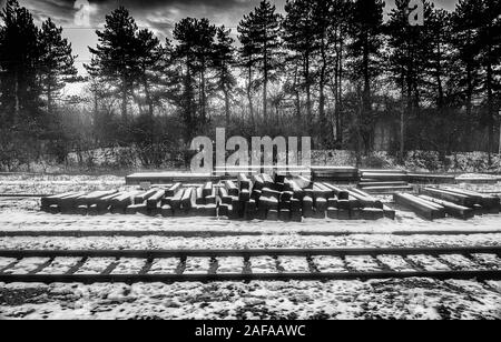 Décembre 2019 Yambol Bulgarie à Sofia : couvertes de glace froide matin brumeux arrivant à Yambol gare prêt à revenir sur mes parcours sur le 827 m des années 90, ex-style-chemins de fer allemands DB pour le train 5 heure de voyage à travers la capitale du pays Sofia au pied de la montagne Vitosha en dôme. Style ancien, et généralement plutôt lent confort ferroviaire moderne - comme la climatisation ou le restaurant des voitures - a été très rarement mes billets achetés en ligne et présenté sur mon iPhone pour la garde côtière canadienne, contrairement à mon premier voyage les billets achetés avec l'argent comptant à la gare de départ le jour du voyage. J'avais encore besoin d'apporter mon o Banque D'Images