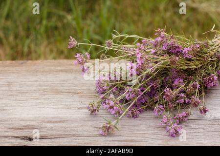 Bouquet de fleurs de thym sur la vieille planche de bois avec fond naturel. Banque D'Images