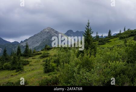 Vallée de Gasieniowa dans les montagnes de Tatra. Banque D'Images