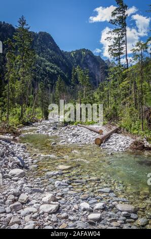 Flux dans la vallée Roztoka Roztoka. Parc National des Tatras. Hautes montagnes des Carpates. Réserve naturelle. Pologne Banque D'Images